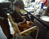 15 ... pour aller câliner l'un des six chats.