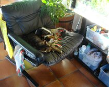 12 Ou là, devant l'aquarium ?