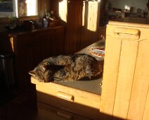 13 Ou, à l'occasion, dans un rayon de soleil.