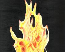 Feu de bois Feu de bois