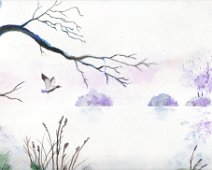 Lac et vol de canard Vol de canard sur le lac