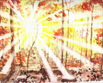 Sous-bois au soleil Sous-bois au soleil